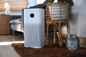 air purifier